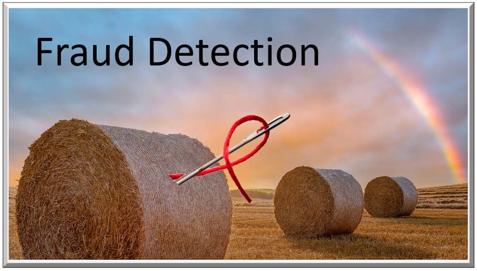 Approaches to detect potential fraud