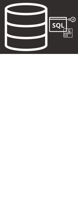 What is the Automatic SQL Tuning Set for?