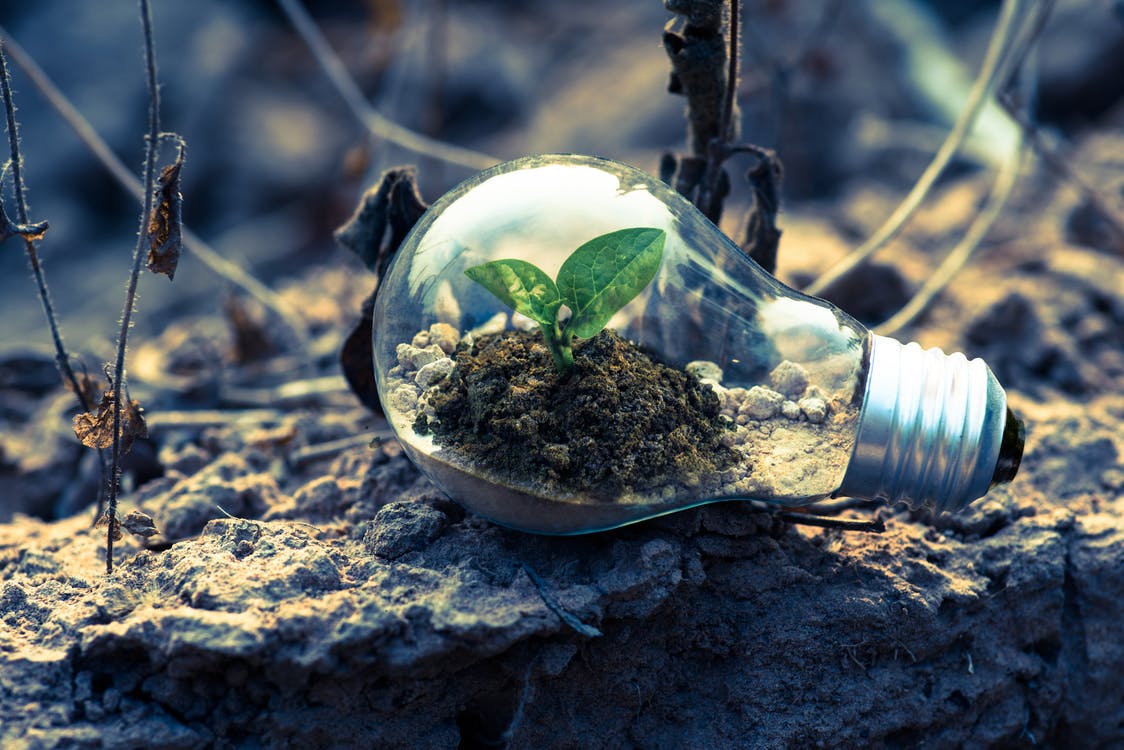 Three ways HR leaders can lead the workforce on Earth Day