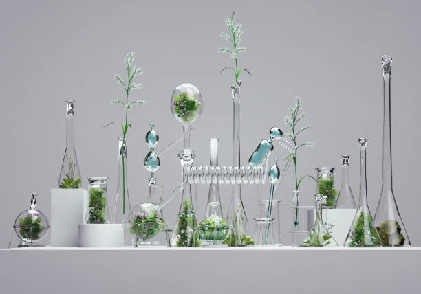 Get Involved: Introducing the Application Security Idea Lab for Oracle SaaS Cloud Customer Connect Portal