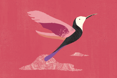 Customer Leadership – Improving ROI