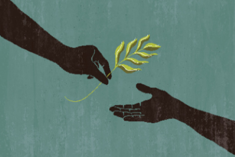 Siebel Loyalty Innovations & Case Studies