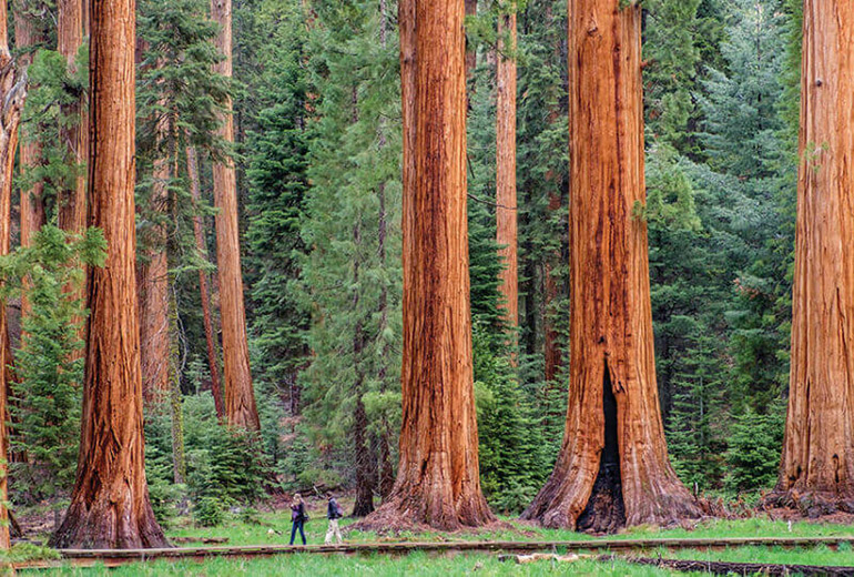 Earth Day 2023: How Oracle Invests in Our Planet to Serve a Transforming World