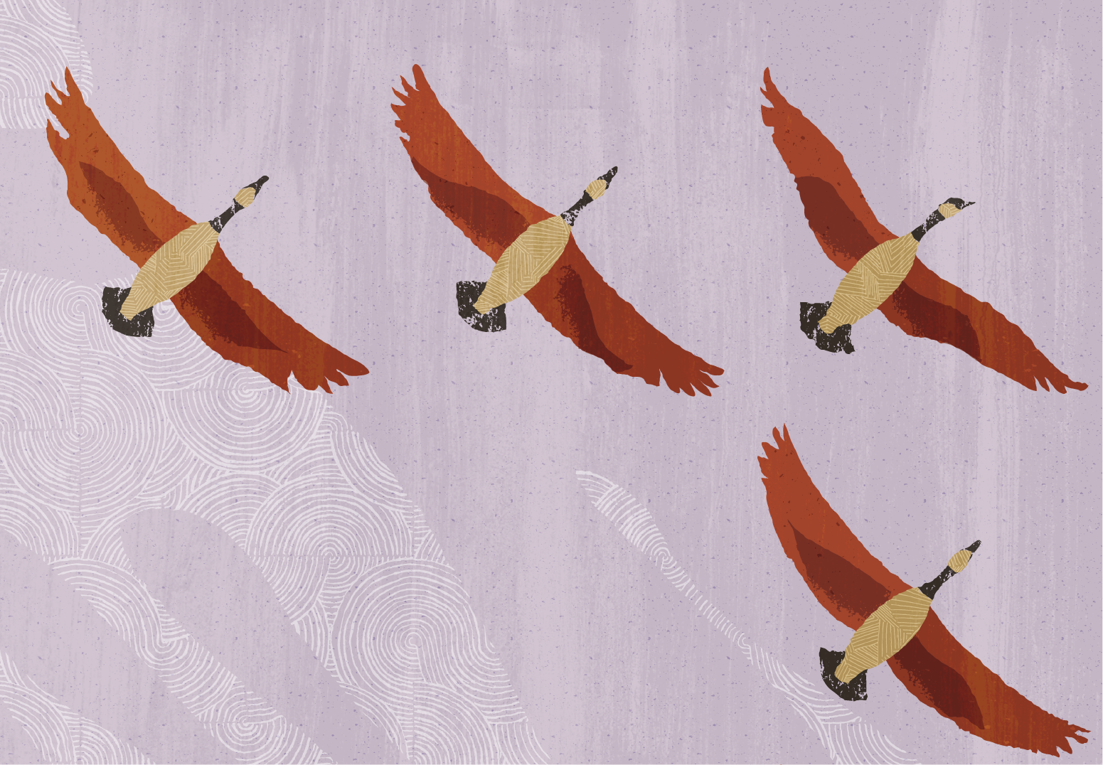 Maximize the Value of Your Oracle E-Business Suite Investment