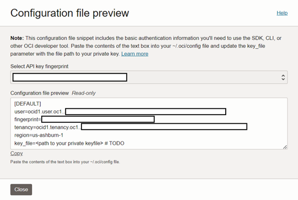 The configuration preview shown when adding an API key