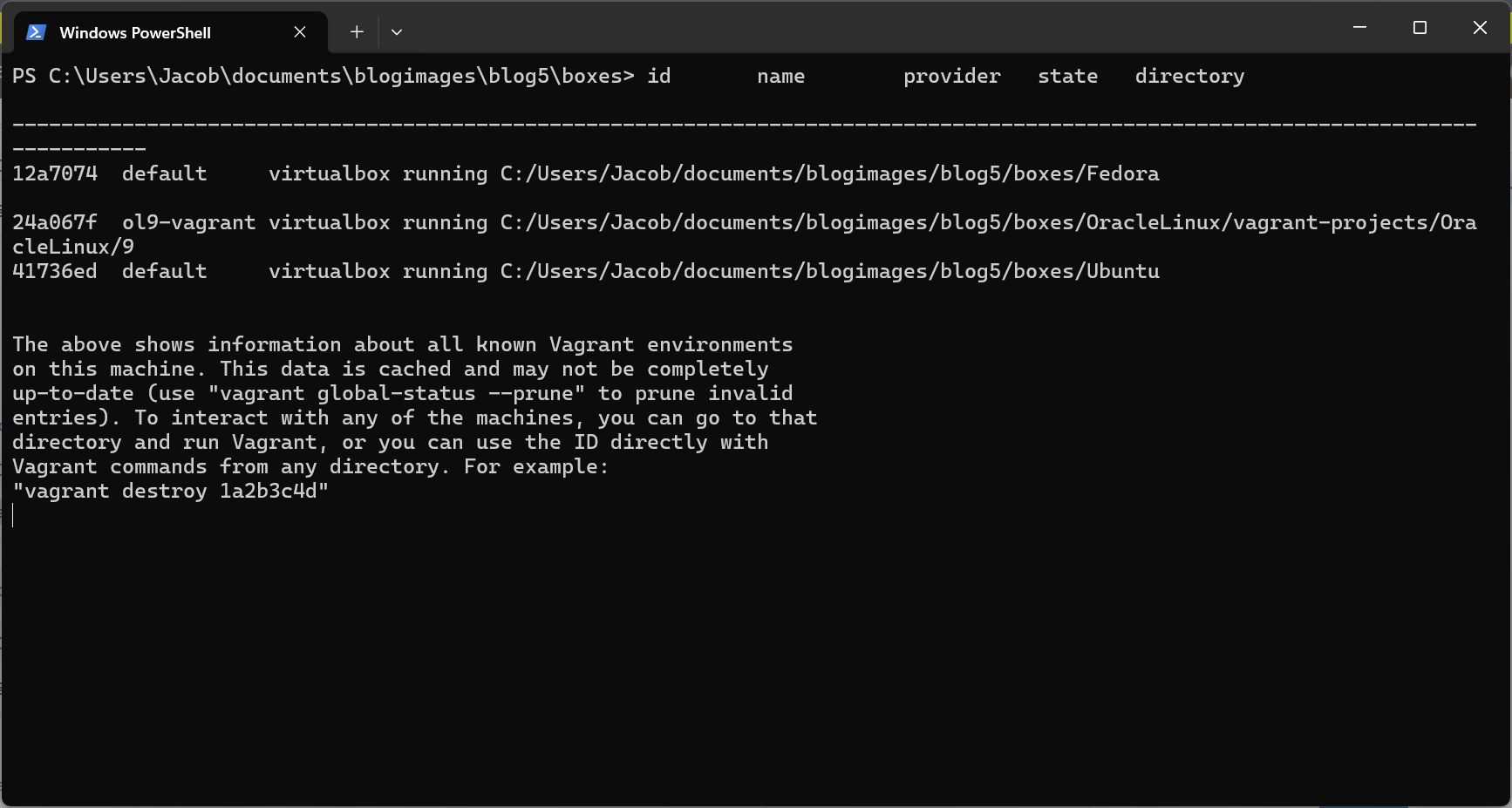 The output of the vagrant global-status command.