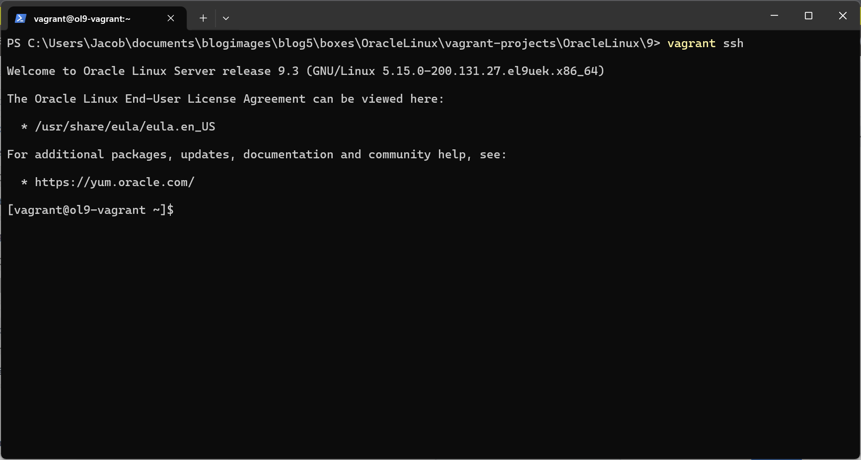 The output of vagrant ssh when used in the vagrant environment directory.