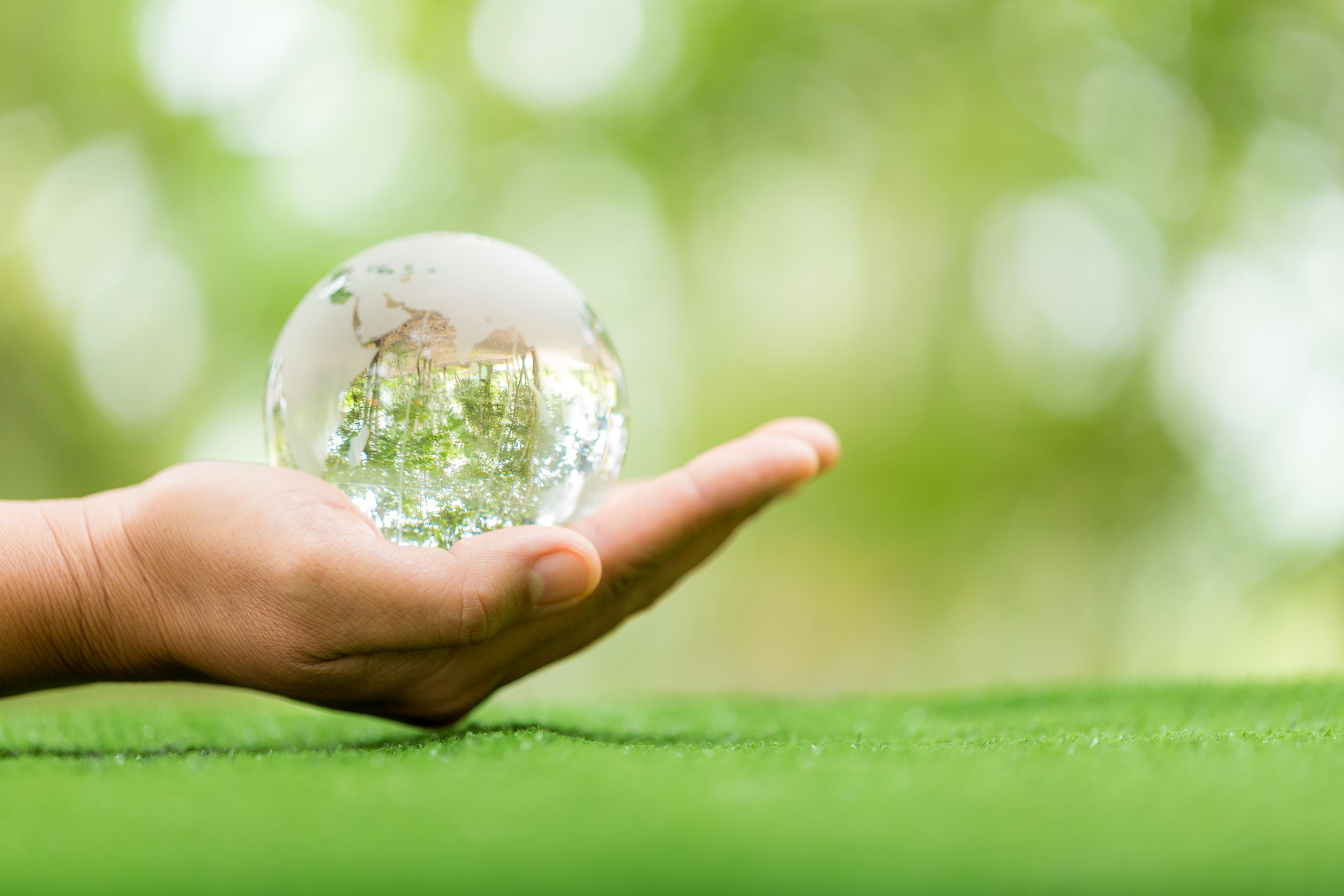 hand holding earth green background sustainable concept