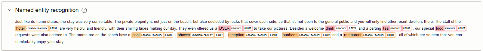 Named entity recognition