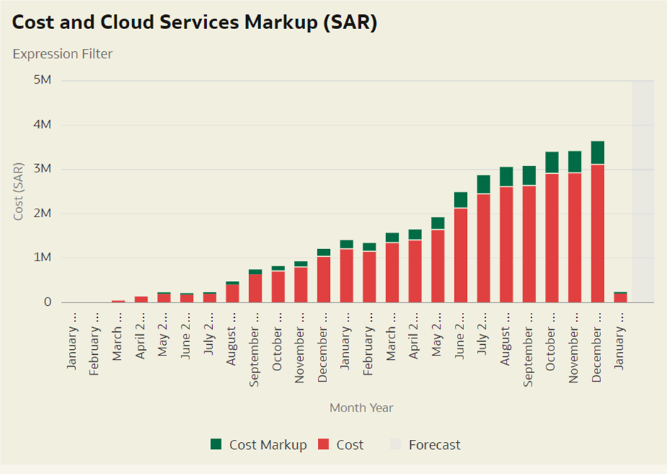 cost incurred each month