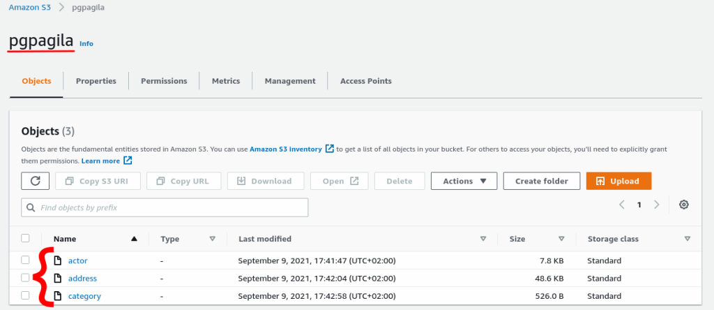 pgpagila S3 bucket content