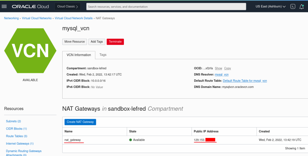 Get the NAT Public IP
