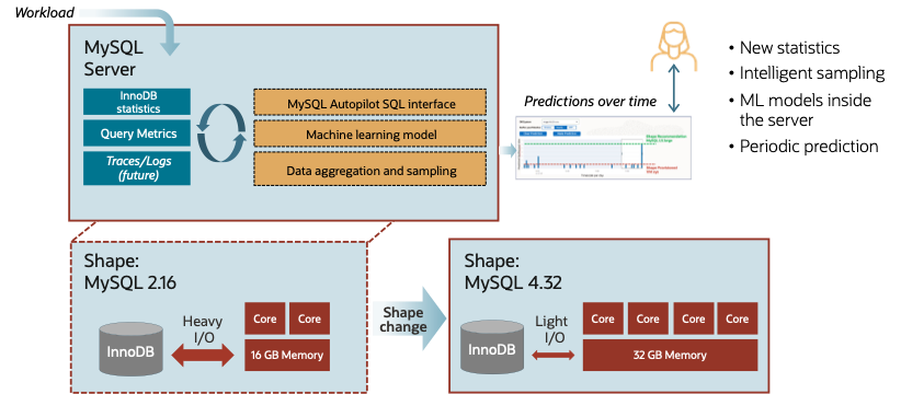Auto Shape Prediction
