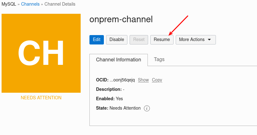 Resume replication channel