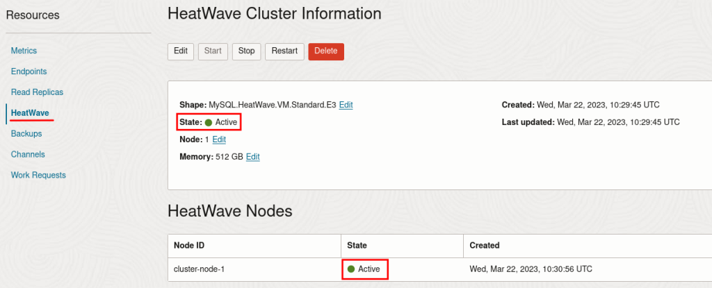 HeatWave Cluster Information