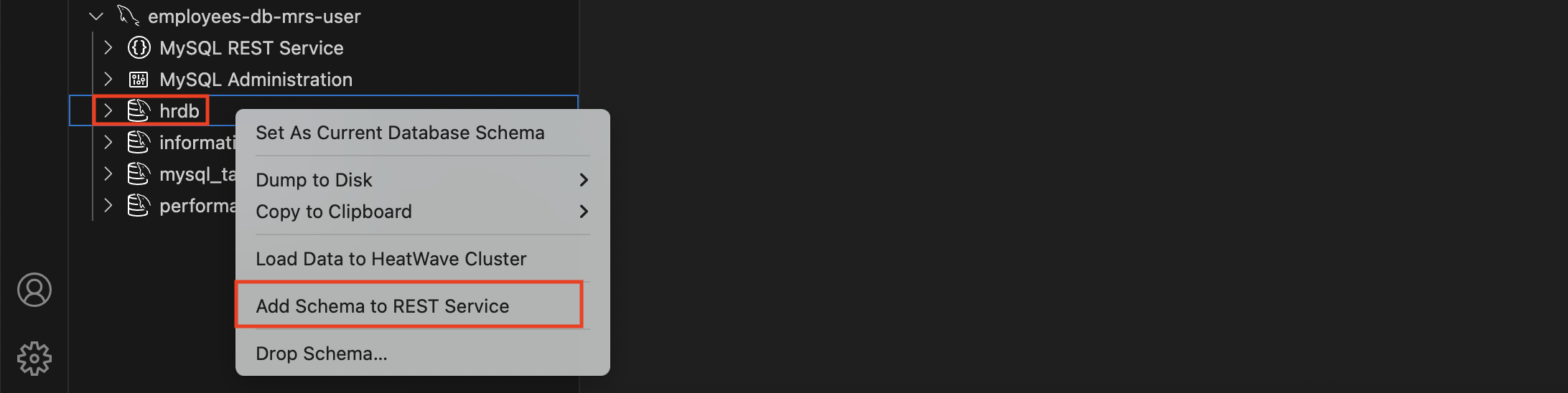 Add Schema to REST Service