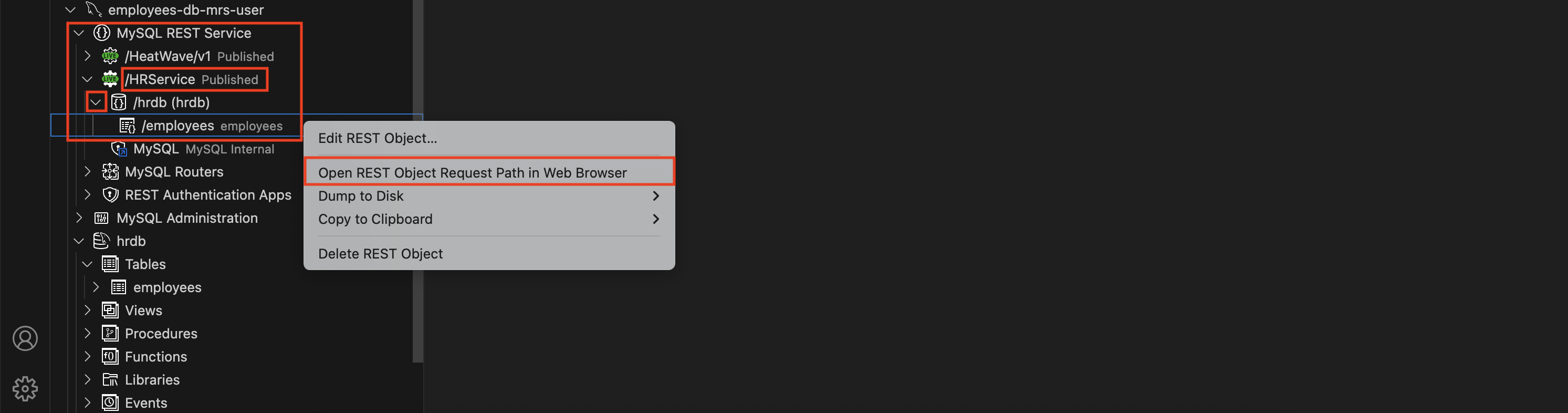 Access the REST endpoints