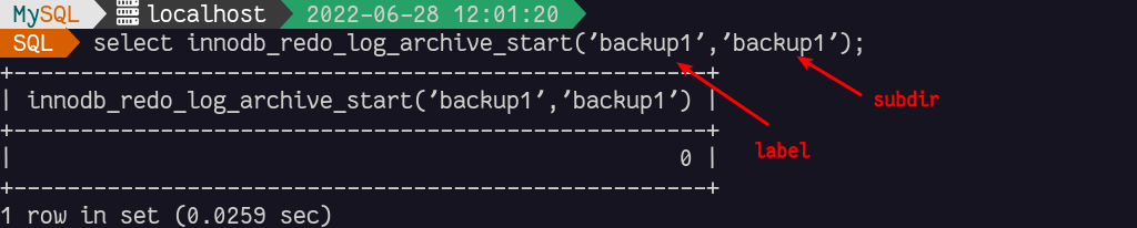 calling innodb_redo_log_archive_start()