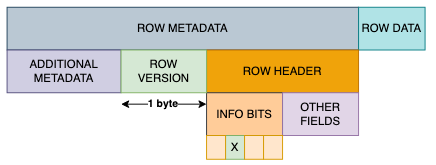 row metadata with version