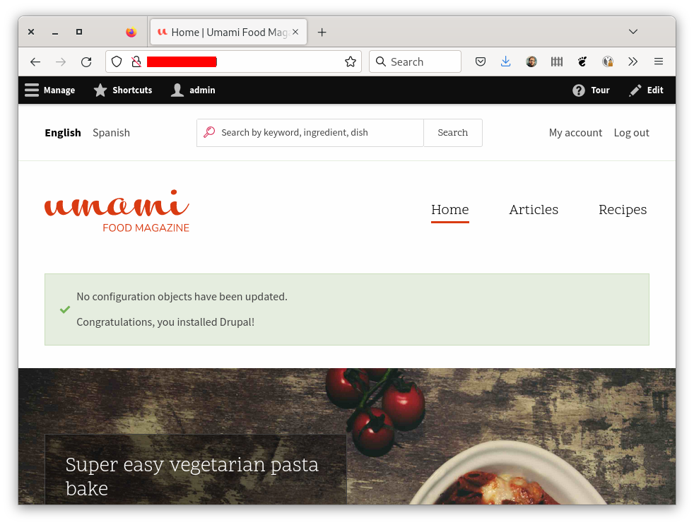 Drupal 10 - The Web Site