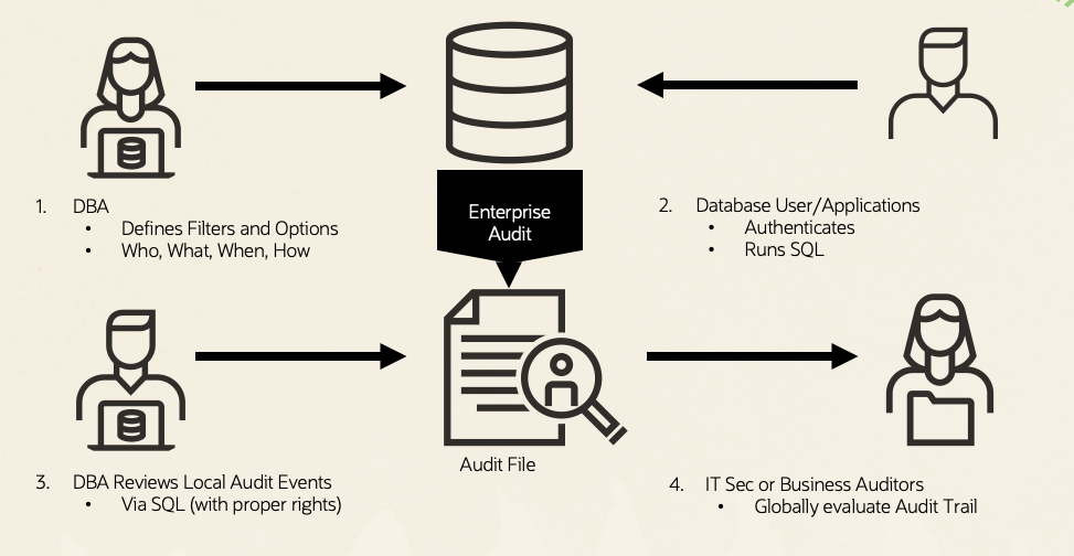 Database audit workflow