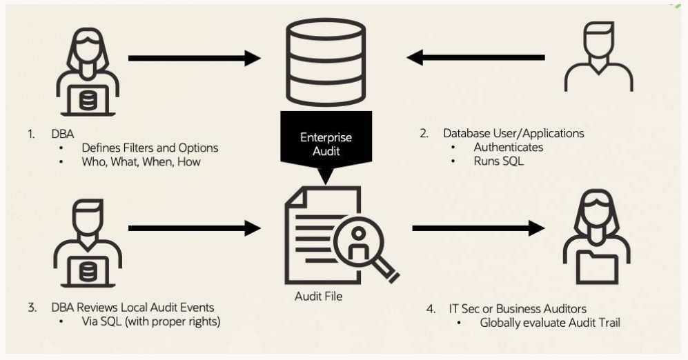Enterprise Audit plugin