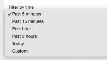 Audit custom time range