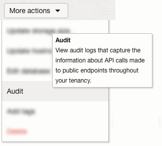 More actions audit log