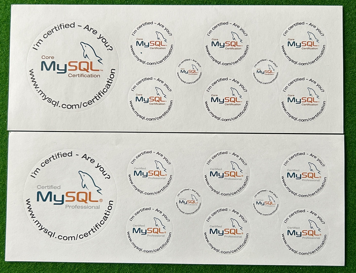 MySQL Certificate Stickers