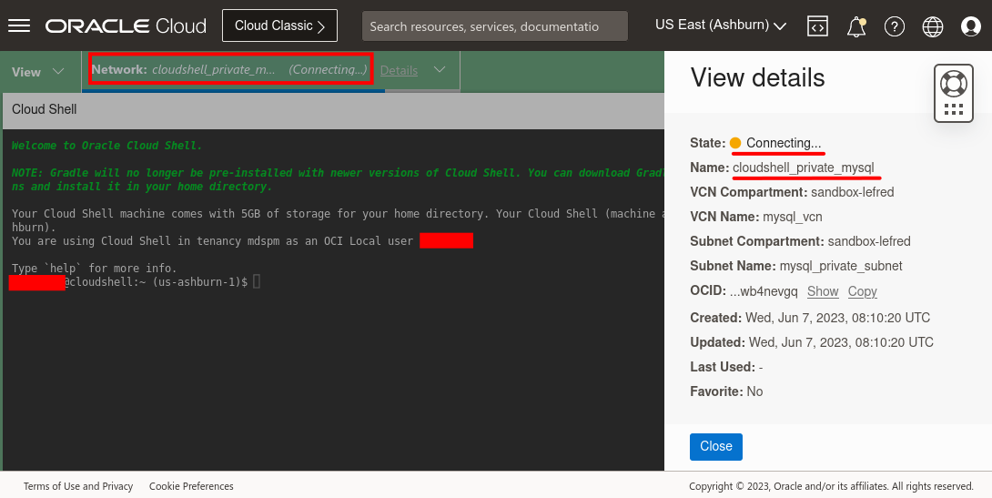 Cloud Shell Network: connecting