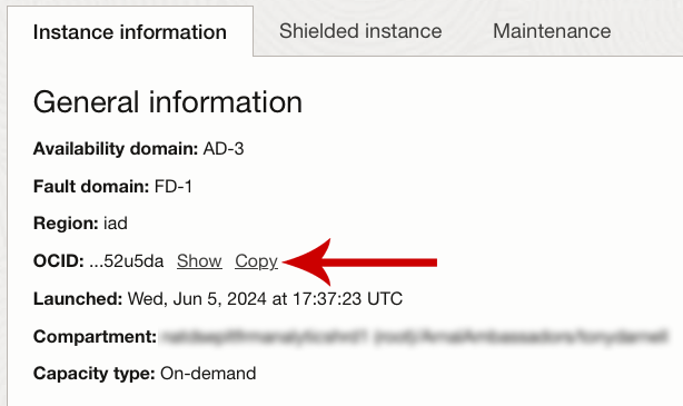 compute instance OCID