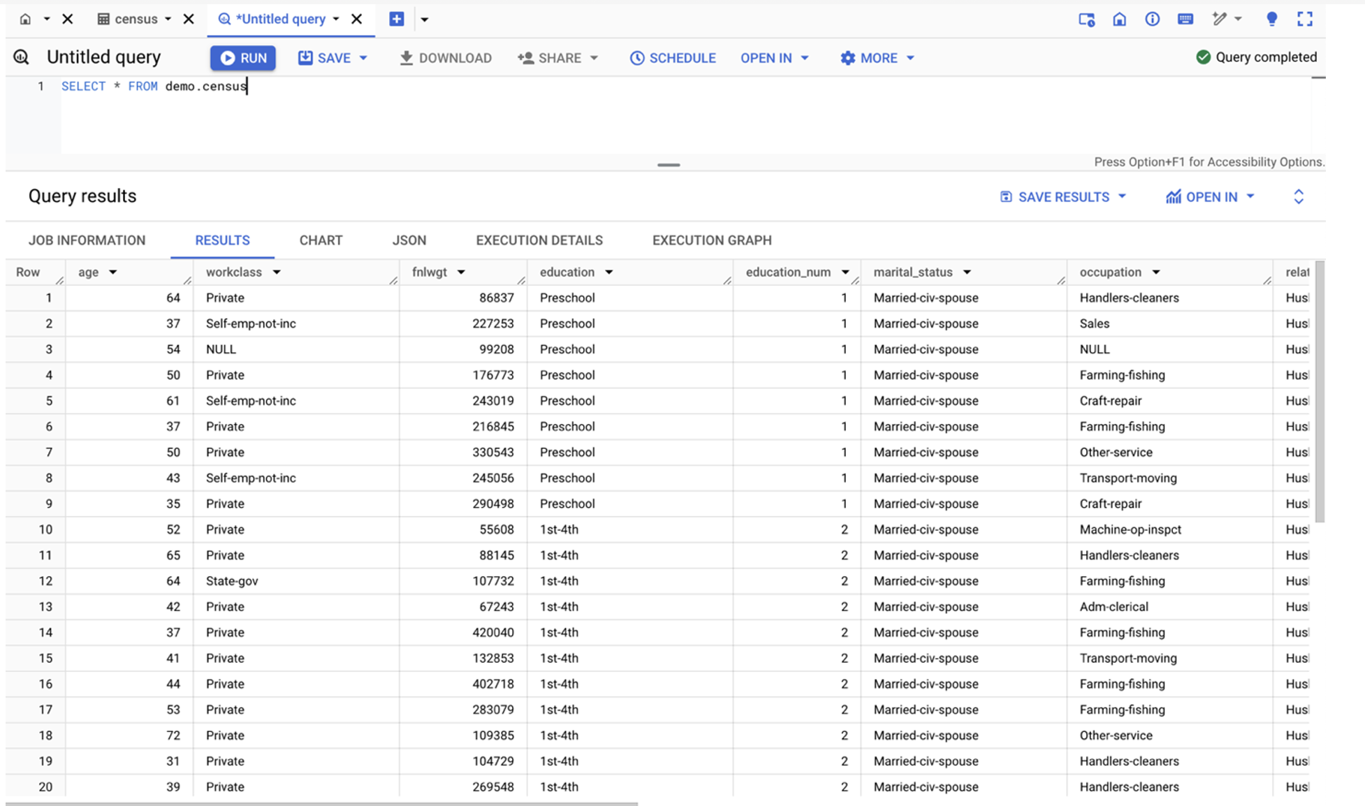 demo.census table