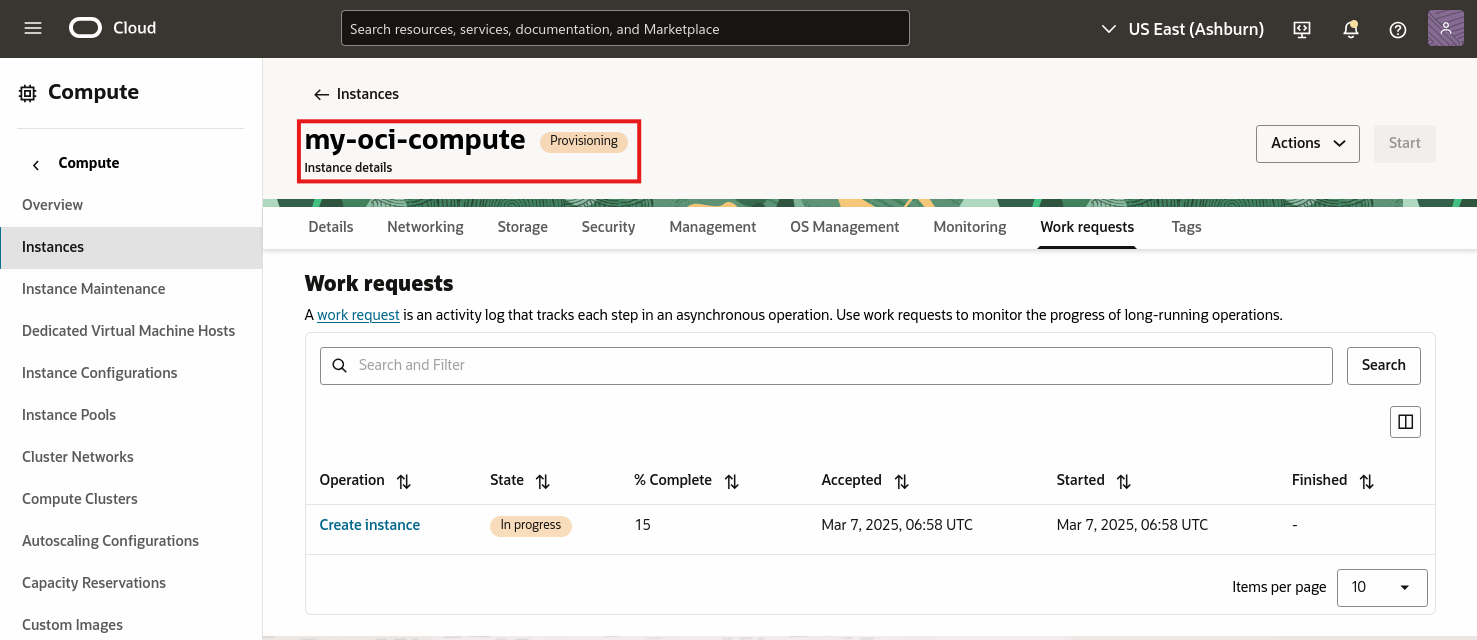 OCI Compute Instance