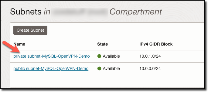 VCN Private Subnet Link