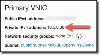 Primary VNIC Information