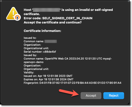 OpenVPN Client Part 3