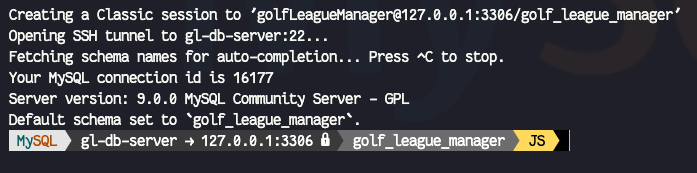 MySQL Shell look with connection