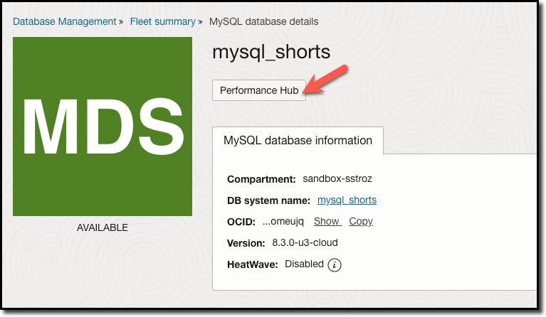 MySQL Database details page