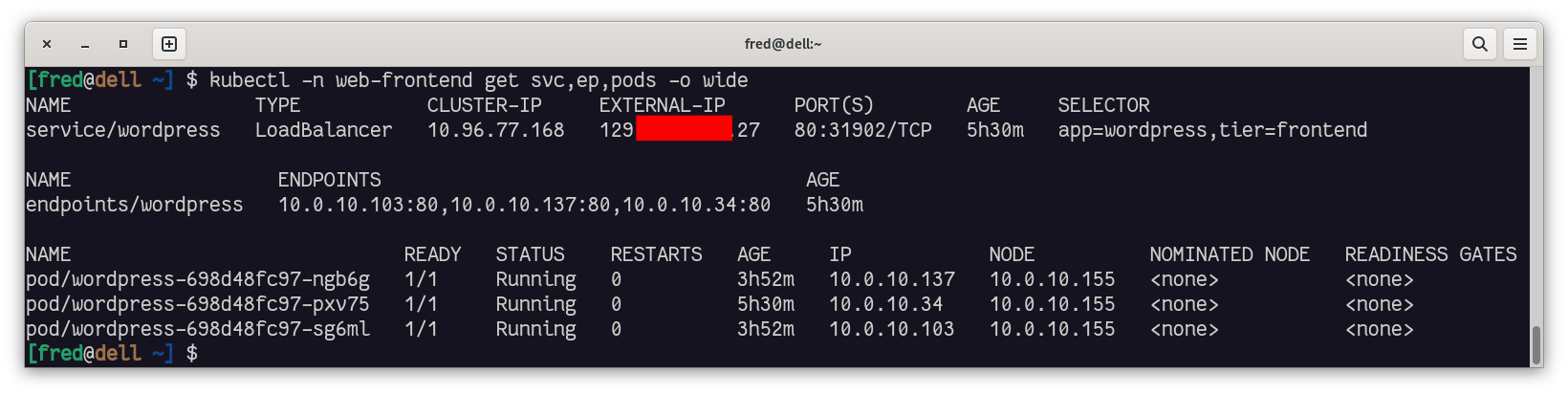 kubctl -n web-frontend