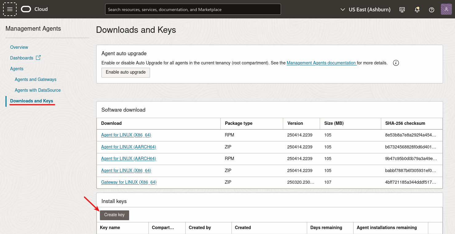 Oracle DB Management