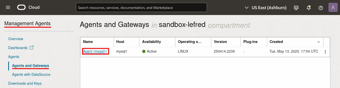 Oracle DB Management