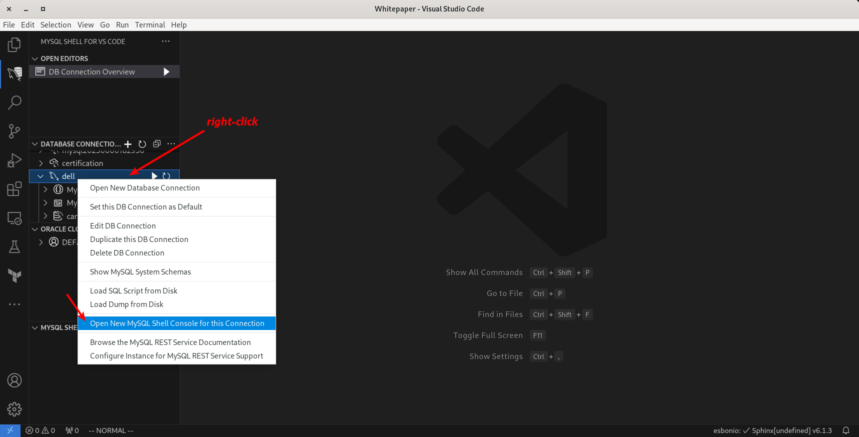 MySQL Shell for Visual Studio