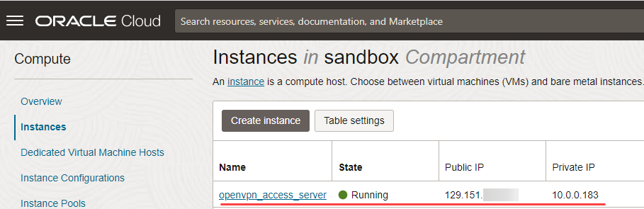 OpenVPN Server Details
