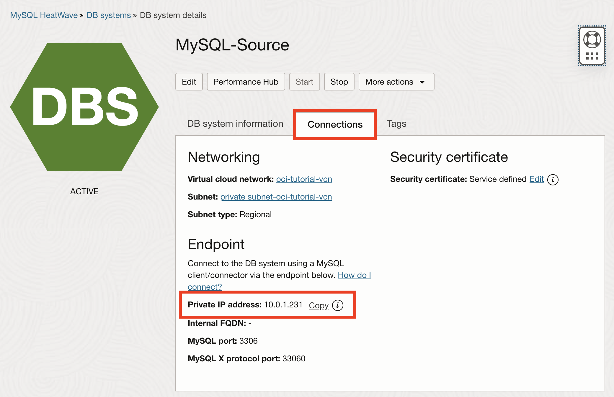 DB System Private IP