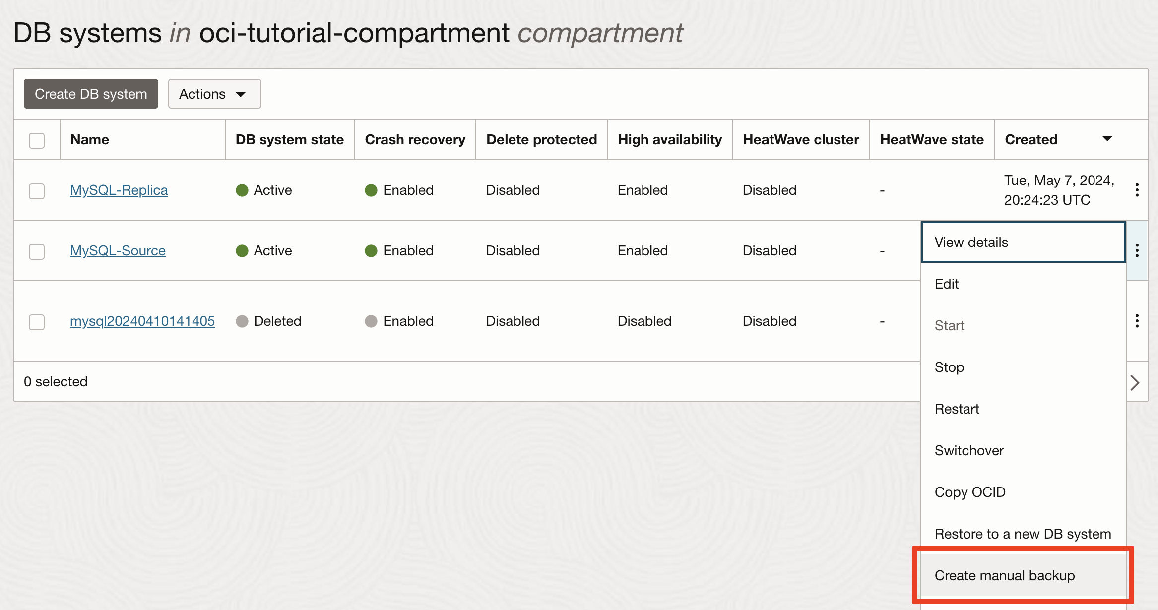 Taking a Manual Backup (DB systems list)