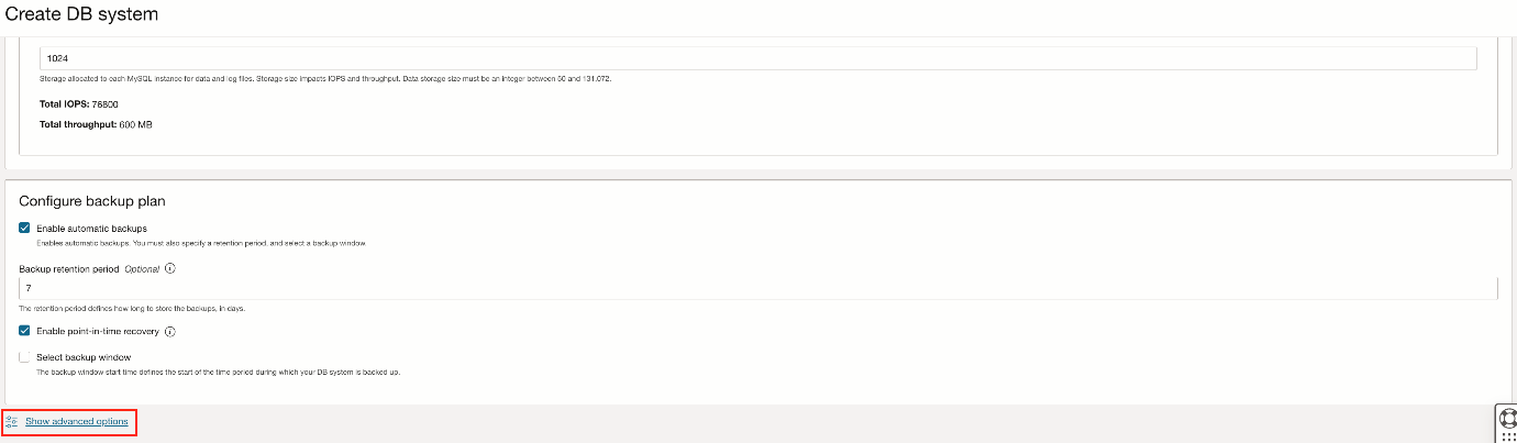 Figure 1: Create DB system advanced options