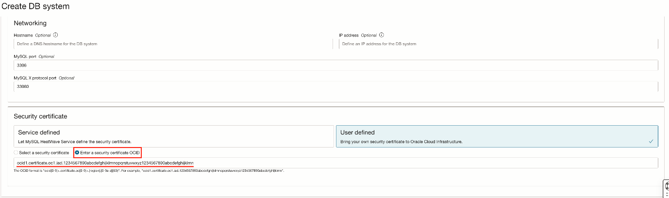 Figure 5: Connections tab, User defined certificate OCID