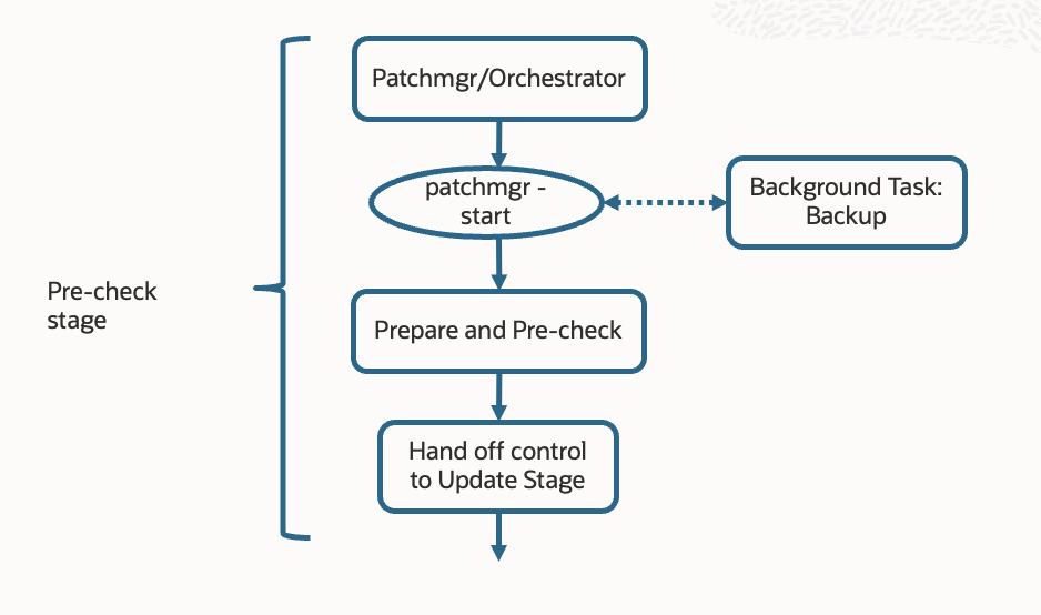 Patchmgr pre-check flow