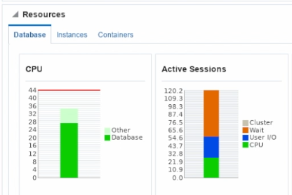 Screenshot from Oracle Enterprise Manager (OEM) shows the same information seen in the Linux "top" command. OEM is typically delayed in time, whereas "top" shows the same information immediately. This will be important later in the demo when we enable use of those resources.