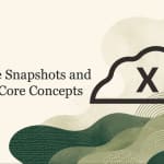 Exascale Snapshots and Clones: Core Concepts